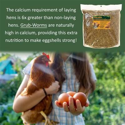 Show full view: Exotic Nutrition Grub-Worms Dried Black Soldier Fly Larvae Bird food, 5-lb bag slide 3 of 9