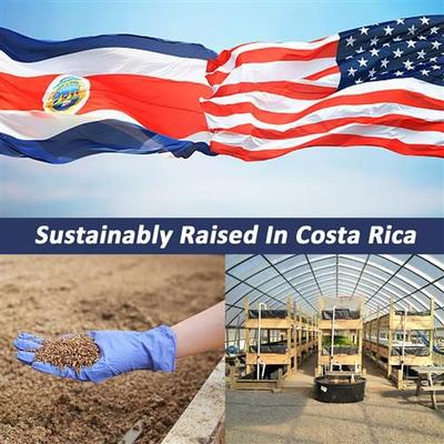 Show full view: Exotic Nutrition Grub-Worms Dried Black Soldier Fly Larvae Bird food, 5-lb bag slide 8 of 9