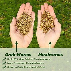 Exotic Nutrition Grub-Worms Dried Black Soldier Fly Larvae Bird Food, 2.5-lb bag slide 2 of 9
