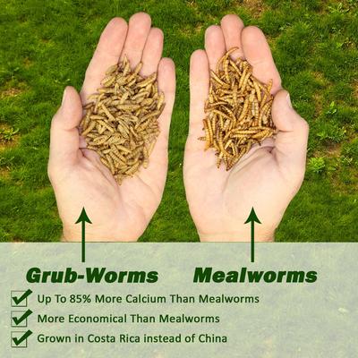 Show full view: Exotic Nutrition Grub-Worms Dried Black Soldier Fly Larvae Bird Food, 2.5-lb bag slide 2 of 9