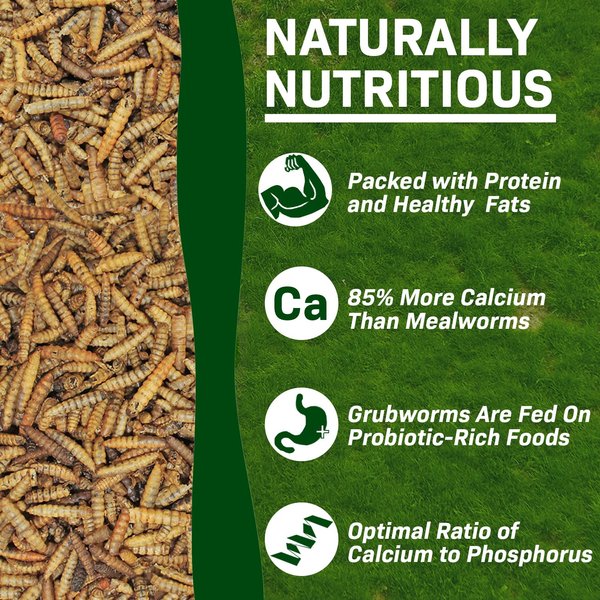 Exotic Nutrition EZ-Worm Bird Food, 10-lb bag