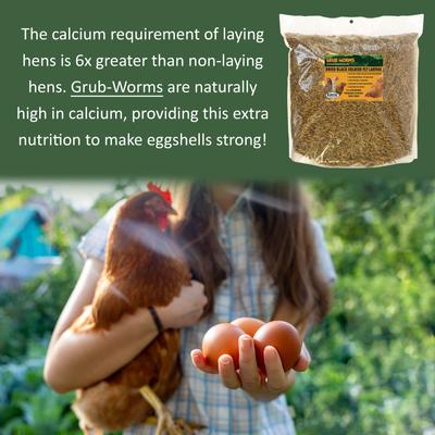 Show full view: Exotic Nutrition Grub-Worms Dried Black Soldier Fly Larvae Bird Food, 2.5-lb bag slide 7 of 9