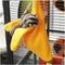 Show in main carousel: Exotic Nutrition Hangouts Banana Nest Small Animal Pouch slide 4 of 5