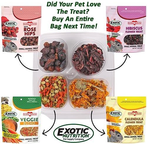 Exotic Nutrition Hedgehog Variety Pack Small Pet Treats