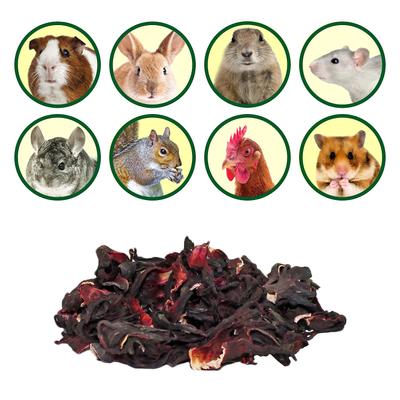 Show full view: Exotic Nutrition Hibiscus Flower Small Pet Treats, 1-oz bag slide 4 of 5