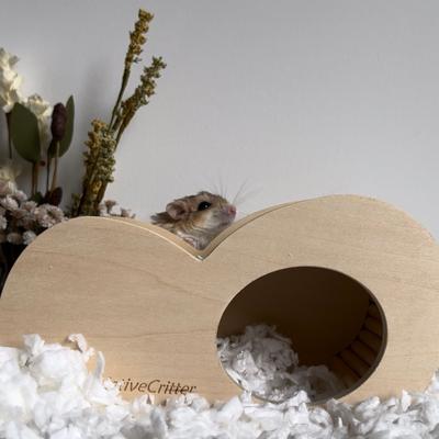 Show full view: Exotic Nutrition Hide-A-Way Climber Small Pet Toy slide 8 of 9