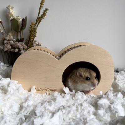 Show full view: Exotic Nutrition Hide-A-Way Climber Small Pet Toy slide 7 of 9