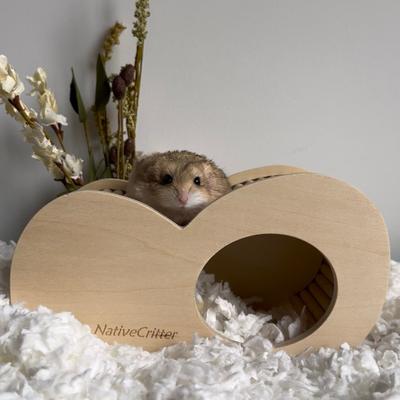 Show full view: Exotic Nutrition Hide-A-Way Climber Small Pet Toy slide 9 of 9