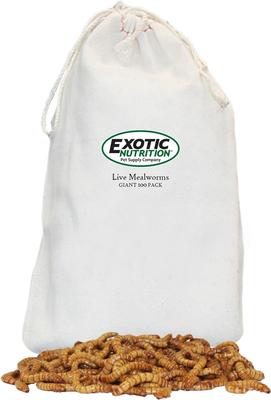 Show full view: Exotic Nutrition Live Mealworms Reptile Food, Giant, 100 count slide 6 of 7
