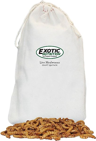 Show full view: Exotic Nutrition Live Mealworms Reptile Food, Giant, 250 count slide 6 of 7