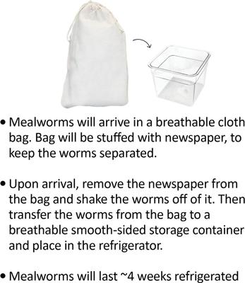 Show full view: Exotic Nutrition Live Mealworms Reptile Food, Giant, 500 count slide 4 of 7