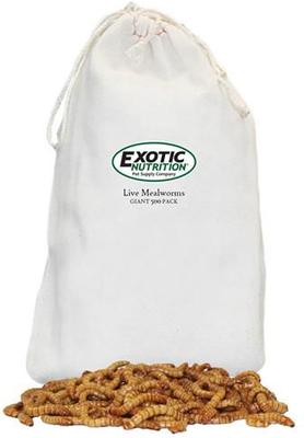 Show full view: Exotic Nutrition Live Mealworms Reptile Food, Giant, 500 count slide 6 of 7