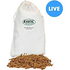 Exotic Nutrition Live Mealworms Reptile Food, Medium, 250 count