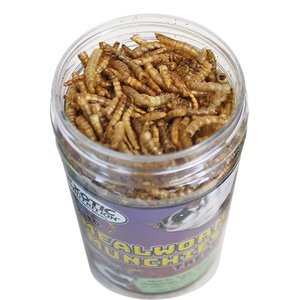 Exotic Nutrition Mealworm Munchies Hedgehog & Sugar Glider Treats, 1.96-oz jar