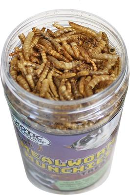 Show full view: Exotic Nutrition Mealworm Munchies Hedgehog & Sugar Glider Treats, 1.96-oz jar slide 3 of 5