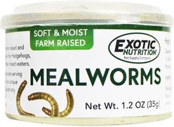 Exotic Nutrition Mealworms Hedgehog Treats, 1.2-oz can