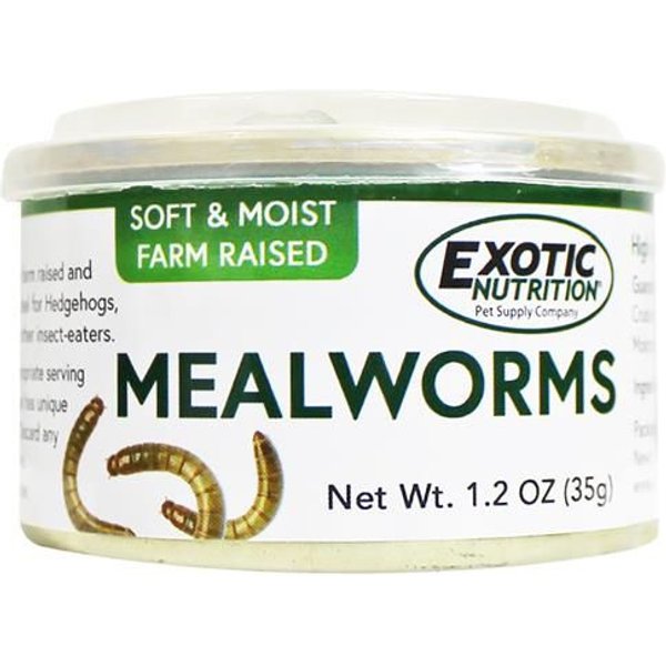 Exotic Nutrition Superworms Hedgehog Treats, 1.2-oz can
