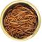 Show in main carousel: Exotic Nutrition Mealworms Hedgehog Treats, 1.2-oz can slide 2 of 5