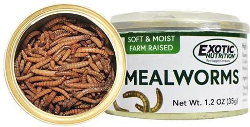 Show full view: Exotic Nutrition Mealworms Hedgehog Treats, 1.2-oz can slide 4 of 5