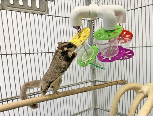 Show full view: Exotic Nutrition Mobile Forager Sugar Glider & Mouse Treat Dispenser slide 5 of 8