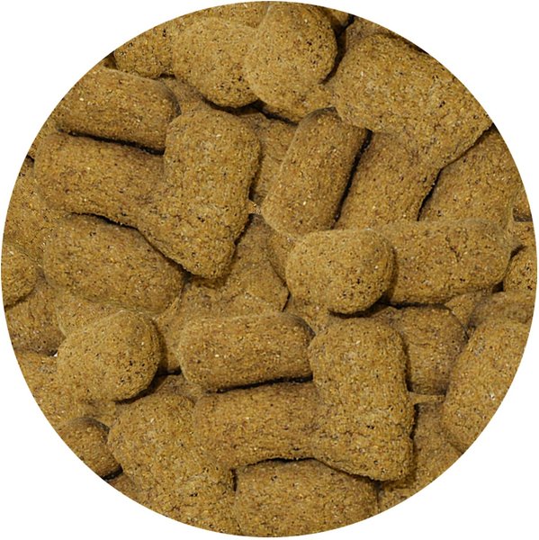 Exotic Nutrition Dozen Delights Oatmeal Donuts Small Pet Treat
