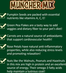 Exotic Nutrition Muncher Mix Small Pet Toy slide 2 of 5