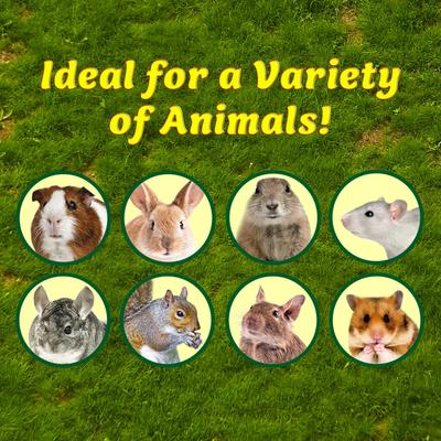 Show full view: Exotic Nutrition Munchers Carrot Crunchers Small Animal Treat slide 6 of 7