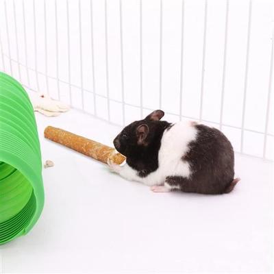 Show full view: Exotic Nutrition Munchers Carrot Crunchers Small Animal Treat slide 7 of 7