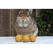 Show in main carousel: Exotic Nutrition Munchers Marigold & Timothy Chew Balls Small Animal Treats, 6 count slide 5 of 6