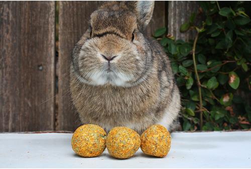 Show full view: Exotic Nutrition Munchers Marigold & Timothy Chew Balls Small Animal Treats, 6 count slide 5 of 6