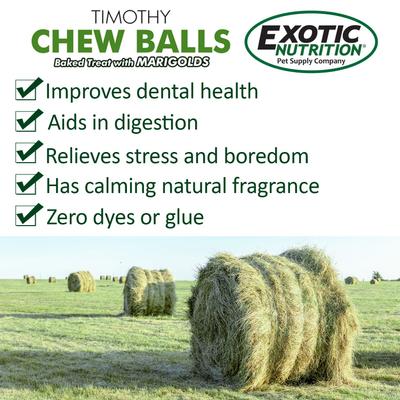 Show full view: Exotic Nutrition Munchers Marigold & Timothy Chew Balls Small Animal Treats, 6 count slide 6 of 6