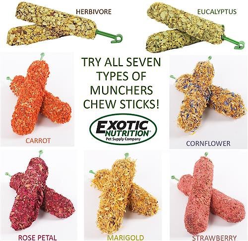 Exotic Nutrition Munchers Sticks with Cornflowers & Marigolds Small Pet Treats