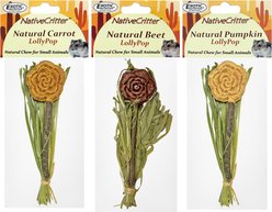 Exotic Nutrition Natural Beet Lollypop Small Pet Chew Toy