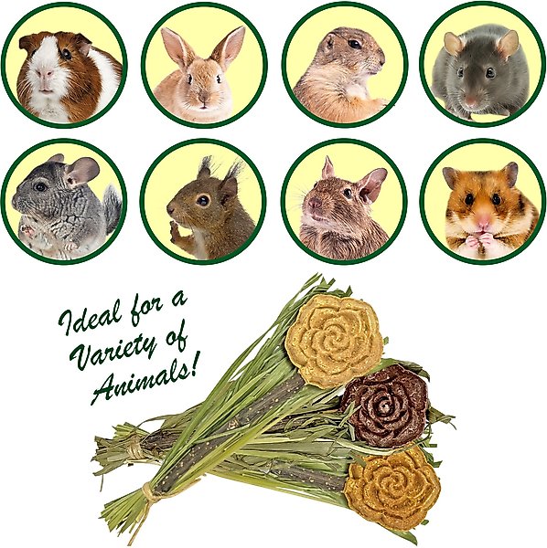 Show full view: Exotic Nutrition Natural Beet Lollypop Small Pet Chew Toy slide 3 of 5