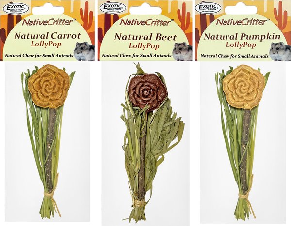 Show full view: Exotic Nutrition Natural Carrot Lollypop Small Pet Chew Toy slide 1 of 5