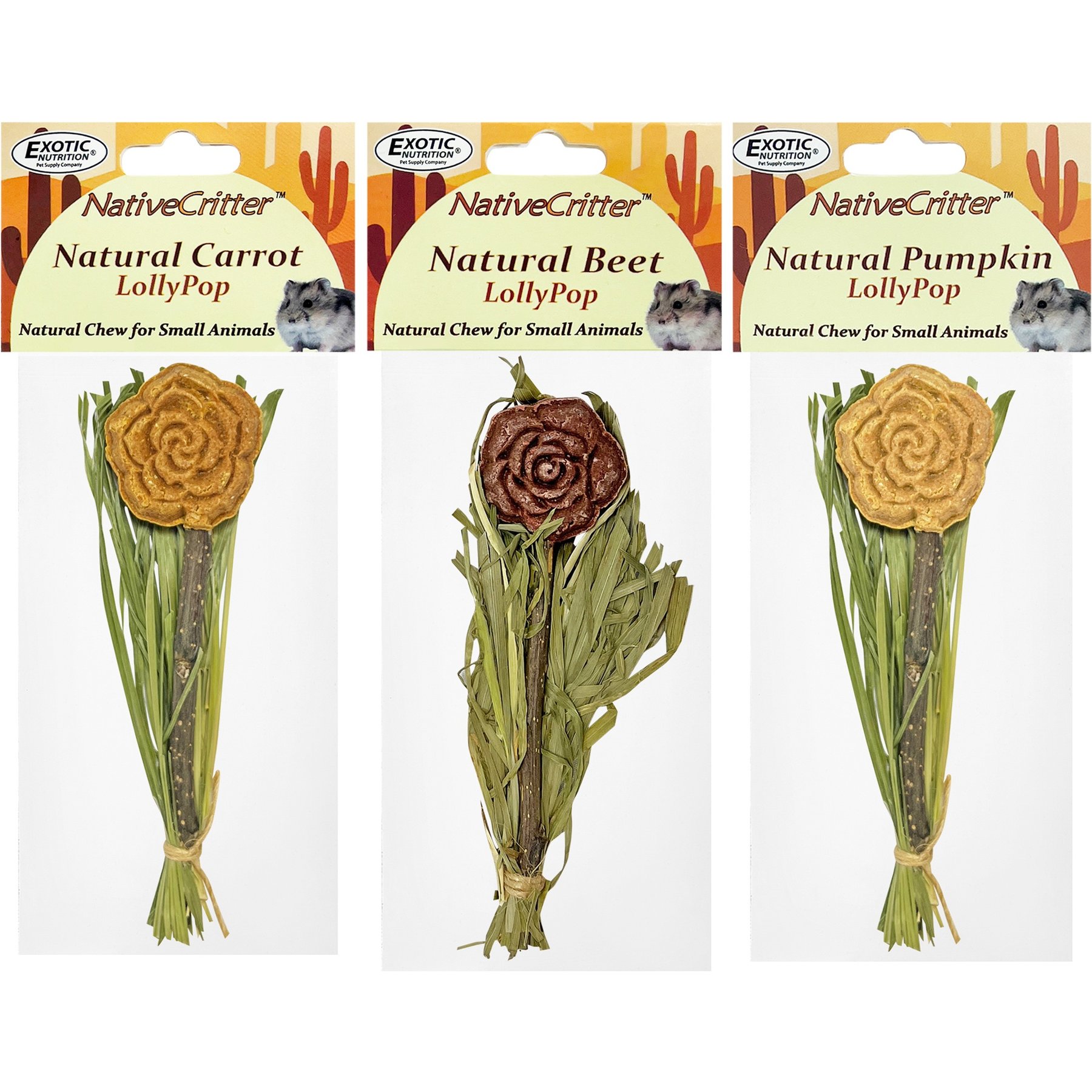 Exotic Nutrition Natural Carrot Lollypop Small Pet Chew Toy