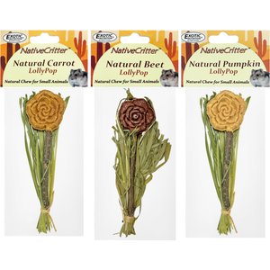 Exotic Nutrition Natural Carrot Lollypop Small Pet Chew Toy