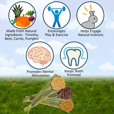 Show full view: Exotic Nutrition Natural Carrot Lollypop Small Pet Chew Toy slide 5 of 5