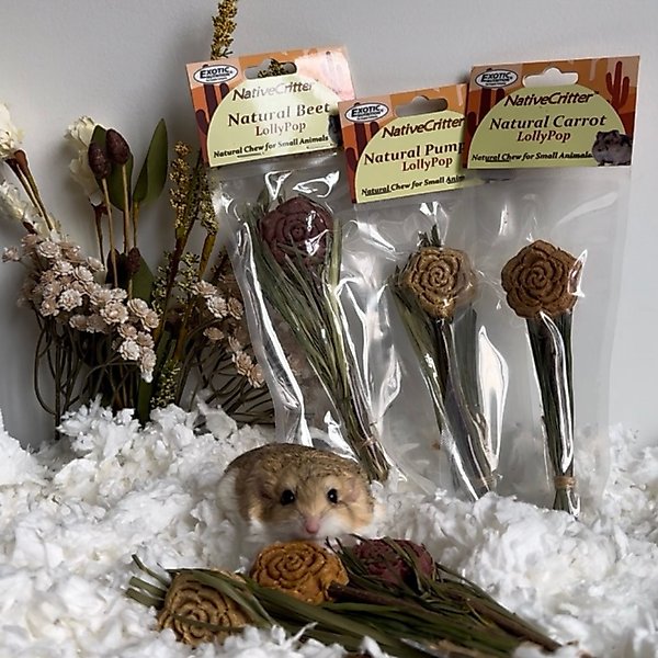 Show full view: Exotic Nutrition Natural Carrot Lollypop Small Pet Chew Toy slide 2 of 5