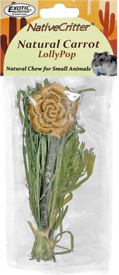 Show full view: Exotic Nutrition Natural Carrot Lollypop Small Pet Chew Toy slide 3 of 5