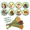 Show in main carousel: Exotic Nutrition Natural Pumpkin Lollypop Small Pet Chew Toy slide 4 of 5