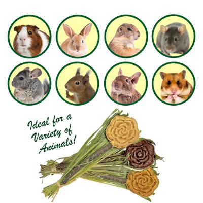 Show full view: Exotic Nutrition Natural Pumpkin Lollypop Small Pet Chew Toy slide 4 of 5