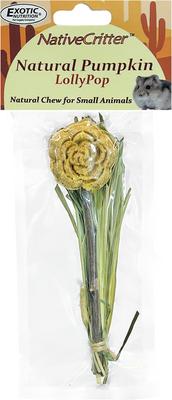 Show full view: Exotic Nutrition Natural Pumpkin Lollypop Small Pet Chew Toy slide 2 of 5