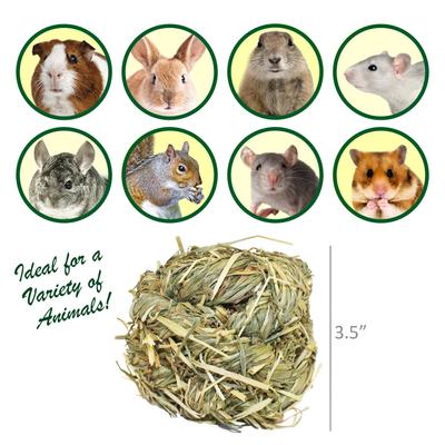 Show full view: Exotic Nutrition Natural Timothy Play Ball Small Animal Treat slide 3 of 4