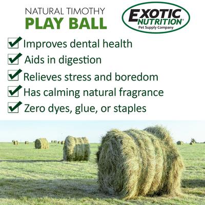 Show full view: Exotic Nutrition Natural Timothy Play Ball Small Animal Treat slide 4 of 4