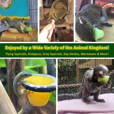 Show full view: Exotic Nutrition Nectar Pods Honey Small Pet Treats, 16-gm, 8-pack slide 4 of 9