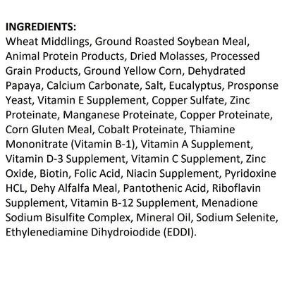 Show full view: Exotic Nutrition Papaya & Eucalyptus Sugar Glider Food, 2-lb bag slide 4 of 7