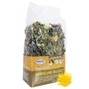 Exotic Nutrition Pasture Plus+ Dandelion Delicacy Rabbit Treats, 6-oz box