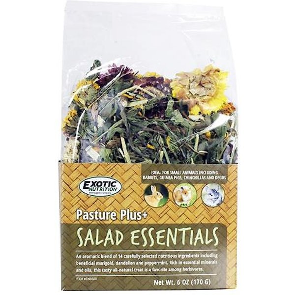 Exotic Nutrition Pasture Plus+ Dandelion Delicacy Rabbit Treats, 6-oz box