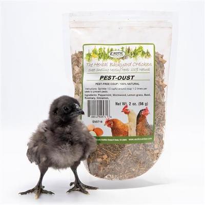 Show full view: Exotic Nutrition Pest-Oust Natural Bird Fly & Insect Control, 2-oz bag slide 3 of 3